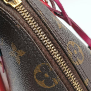 Vintage Louis Vuitton Alma BB Brown×Flamingo Monogram Canvas aMonogram Totem M41659 shoulderbag | stylenewstar