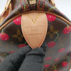Pre-owned Louis Vuitton Speedy 25 Monogram Cherry Monogram Canvas M95009 handbag | stylenewstar