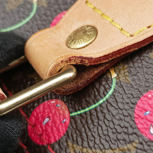 Pre-owned Louis Vuitton Speedy 25 Monogram Cherry Monogram Canvas M95009 handbag | stylenewstar