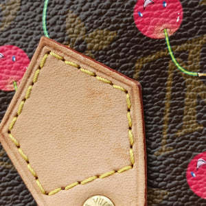 Pre-owned Louis Vuitton Speedy 25 Monogram Cherry Monogram Canvas M95009 handbag | stylenewstar