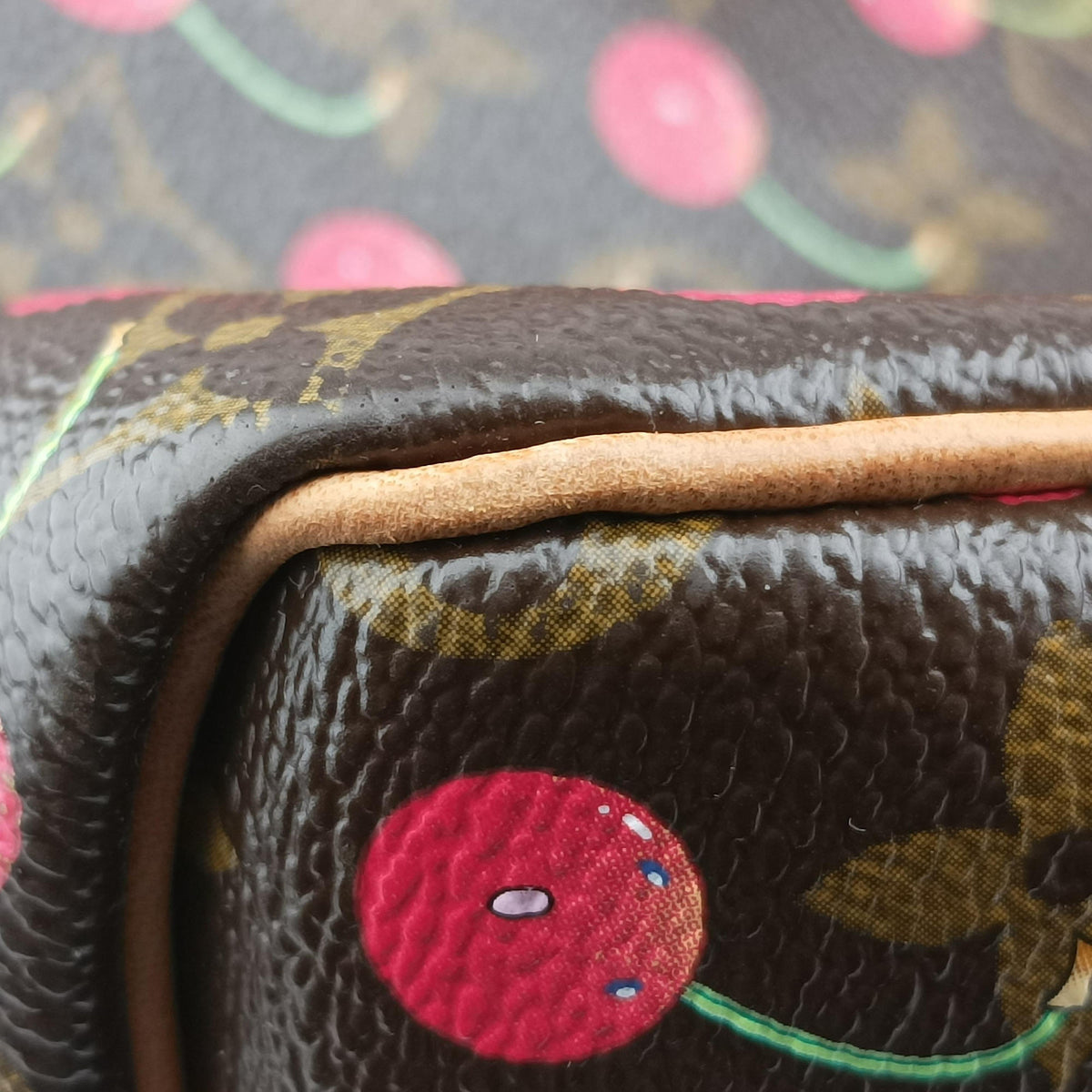 Pre-owned Louis Vuitton Speedy 25 Monogram Cherry Monogram Canvas M95009 handbag | stylenewstar