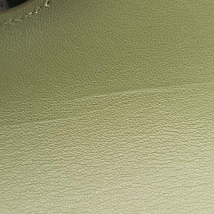Pre-owned Celine Besace 16 Small Green Leather W-SL-2 shoulderbag | stylenewstar