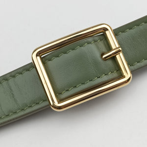Pre-owned Celine Besace 16 Small Green Leather W-SL-2 shoulderbag | stylenewstar