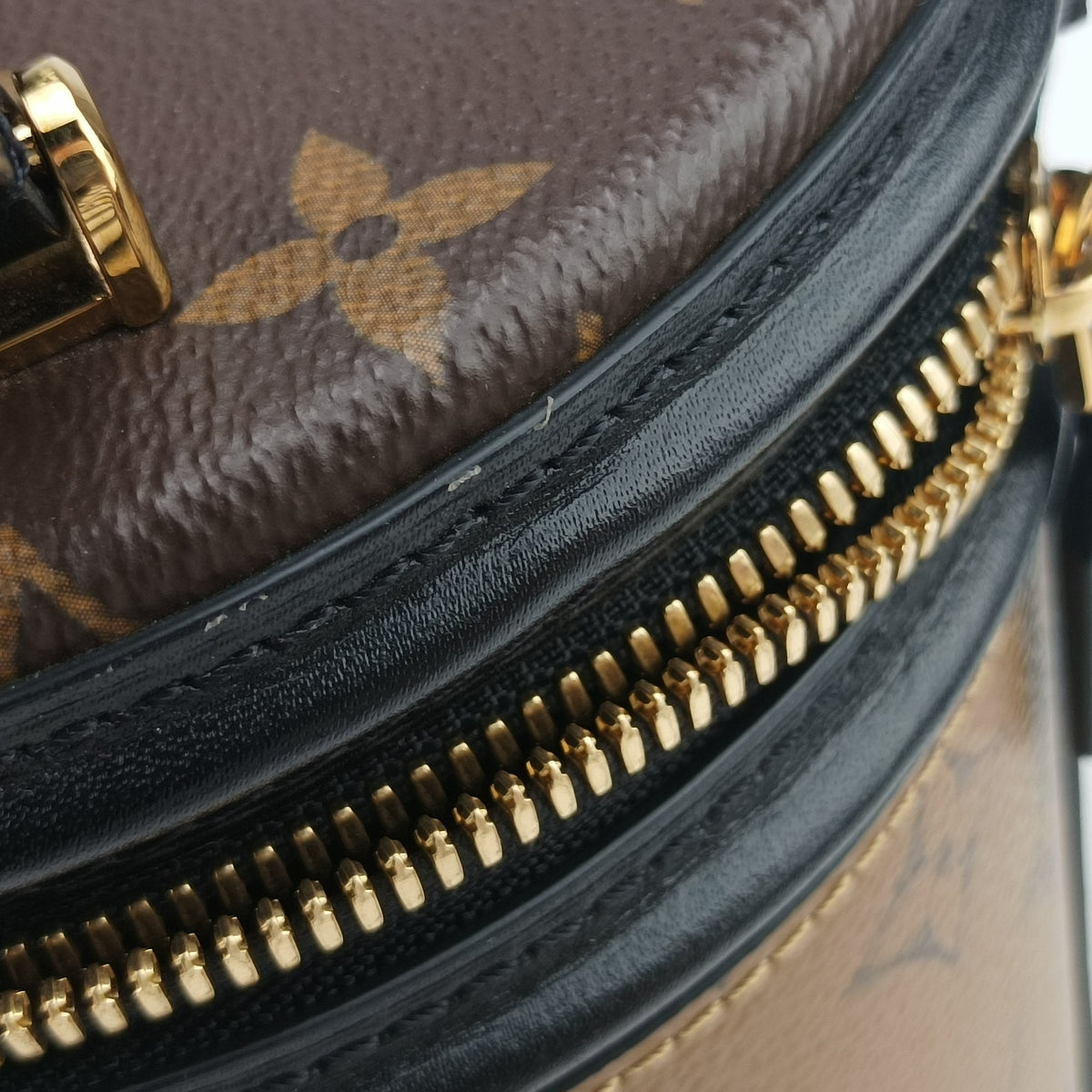 Pre-owned Louis Vuitton Cannes Brown × Black Monogram Reverse M43986 shoulderbag | stylenewstar