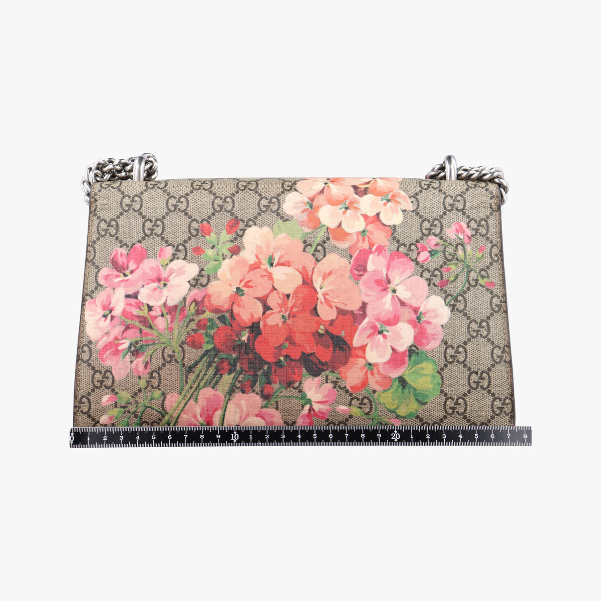 Pre-owned Gucci Dionysus beige×red×multi PVC coated canvas × suede 400249 shoulderbag | stylenewstar