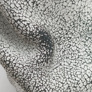 Secondhand Alexander Wang Flap Black×white Leather  crossbodybag | stylenewstar