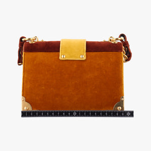 Animalier Cahier Lions Head Yellow×Brown Velvet 1BD089 110