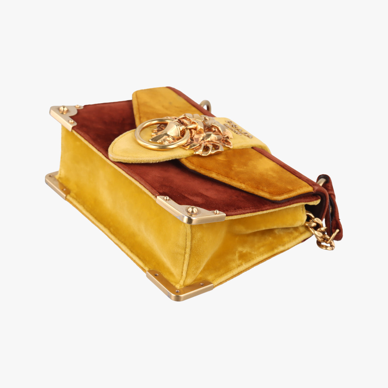 Animalier Cahier Lions Head Yellow×Brown Velvet 1BD089 110