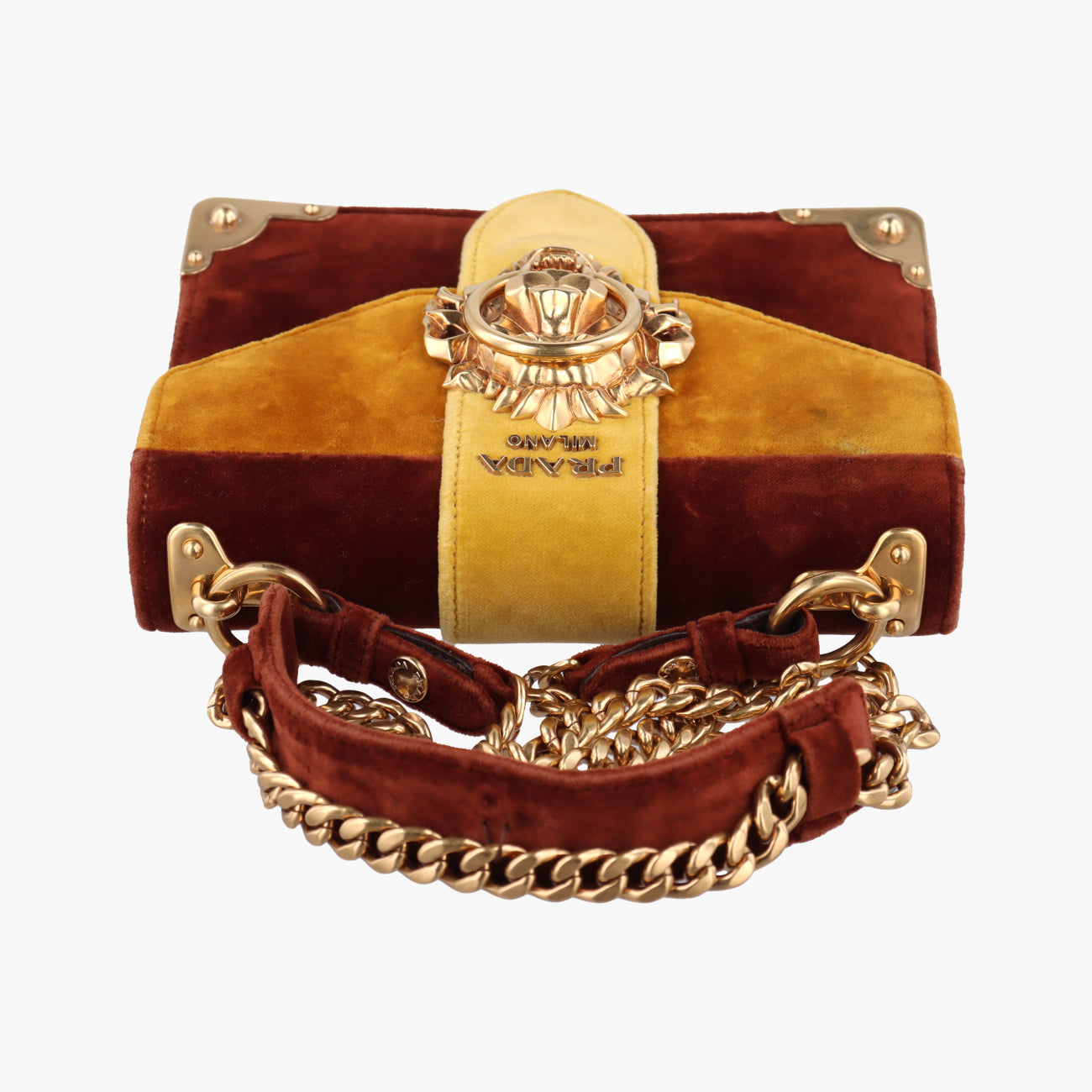 Animalier Cahier Lions Head Yellow×Brown Velvet 1BD089 110