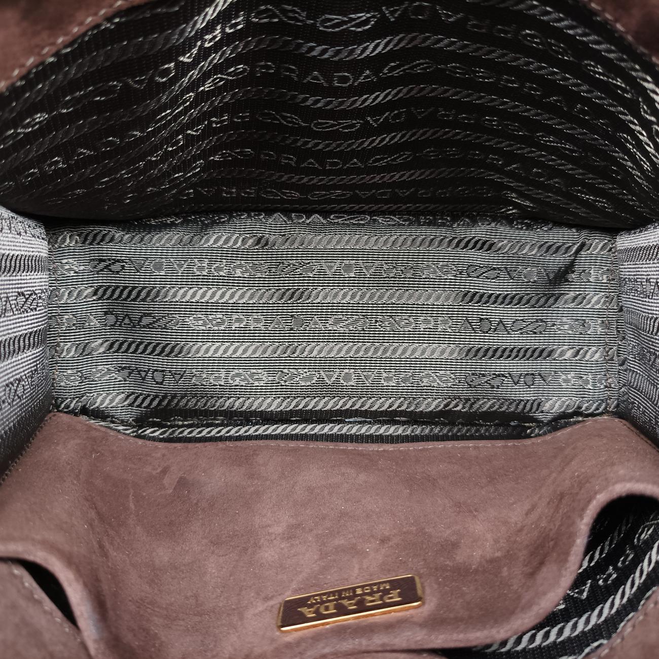 Animalier Cahier Lions Head Yellow×Brown Velvet 1BD089 110