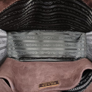 Animalier Cahier Lions Head Yellow×Brown Velvet 1BD089 110