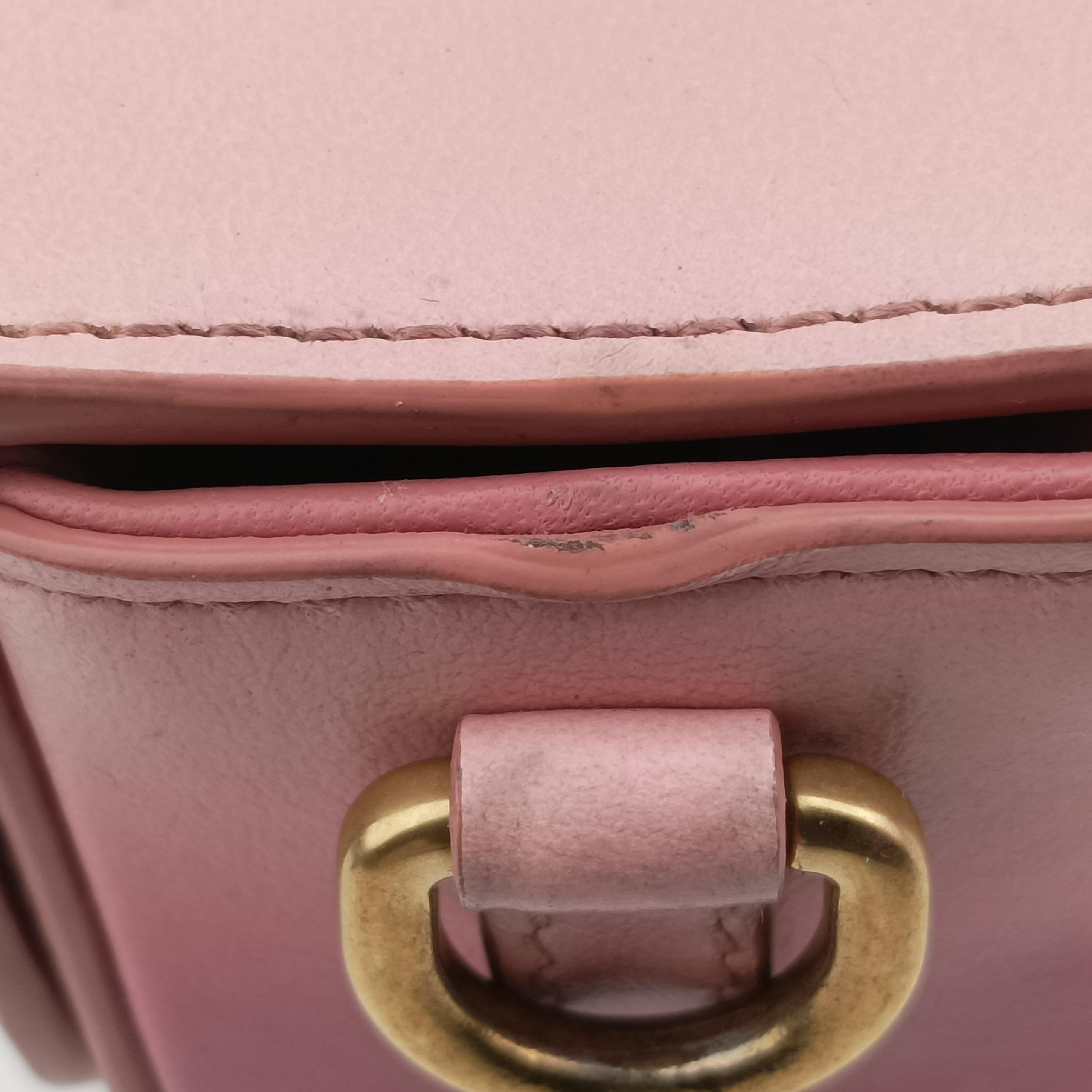 Pre-owned Christian Dior 30 MONTAIGNE Pink x Light Pink Leather  shoulderbag | stylenewstar