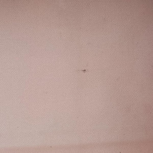 Pre-owned Louis Vuitton On The Go GM ROUGE Monogram Giant M44569 shoulderbag | stylenewstar