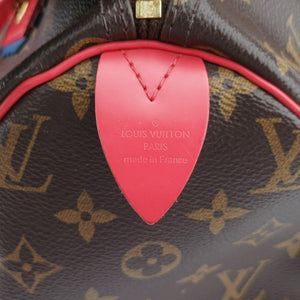 Vintage Louis Vuitton SPEEDY30 brown×Flamingo Monogram Totem M41665 handbag | stylenewstar