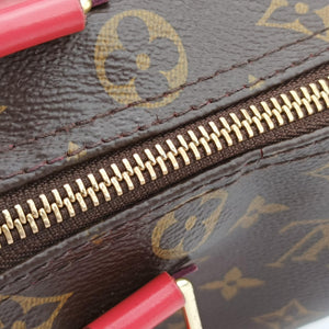 Vintage Louis Vuitton SPEEDY30 brown×Flamingo Monogram Totem M41665 handbag | stylenewstar