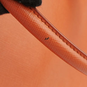 Pre-owned Prada Promenade Orange SAFFIANO　Leather BN2567 shoulderbag | stylenewstar