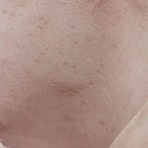 Pre-owned Christian Dior Diorama Pink Leather  shoulderbag | stylenewstar