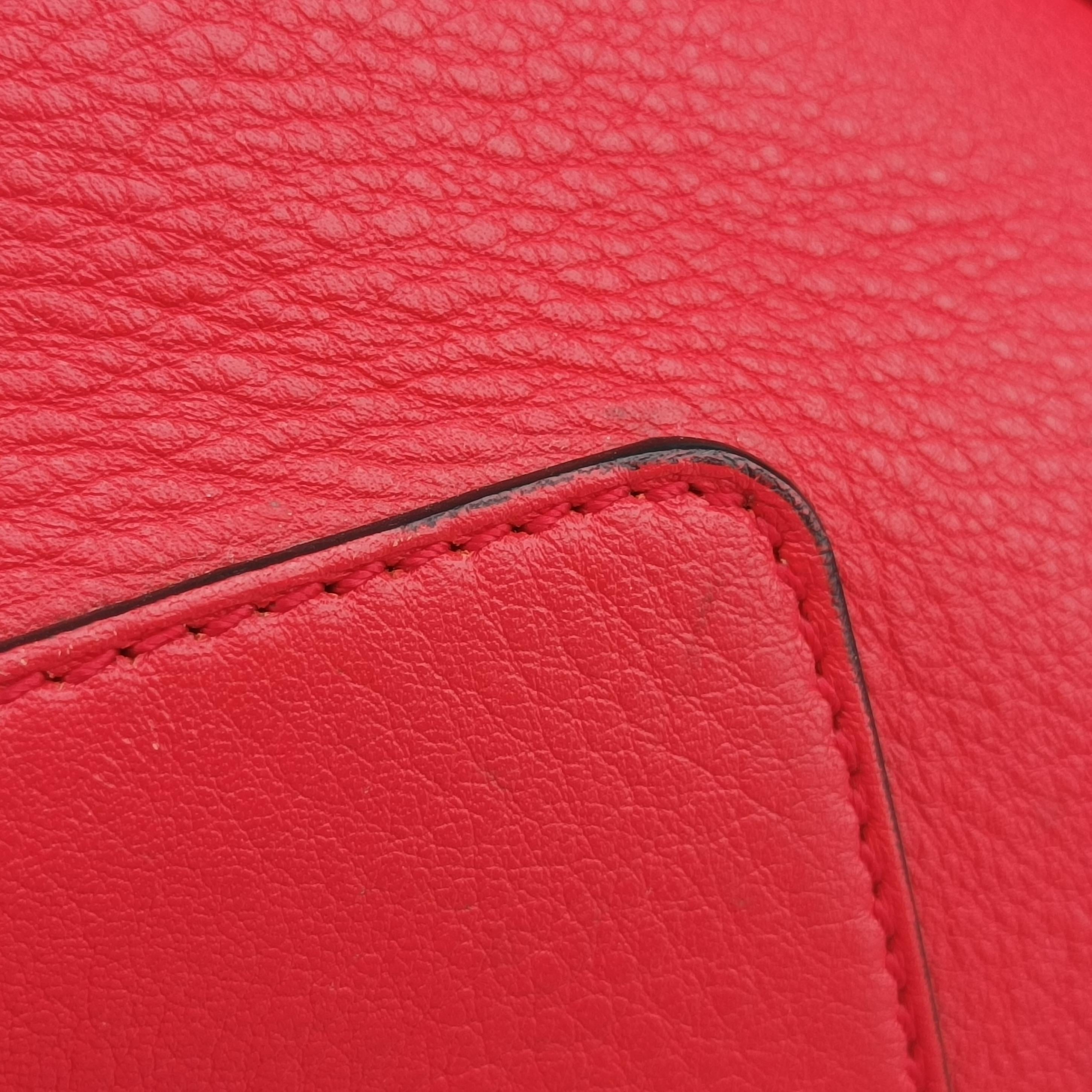 Pre-owned Loewe Amazona36 Red Leather  shoulderbag | stylenewstar