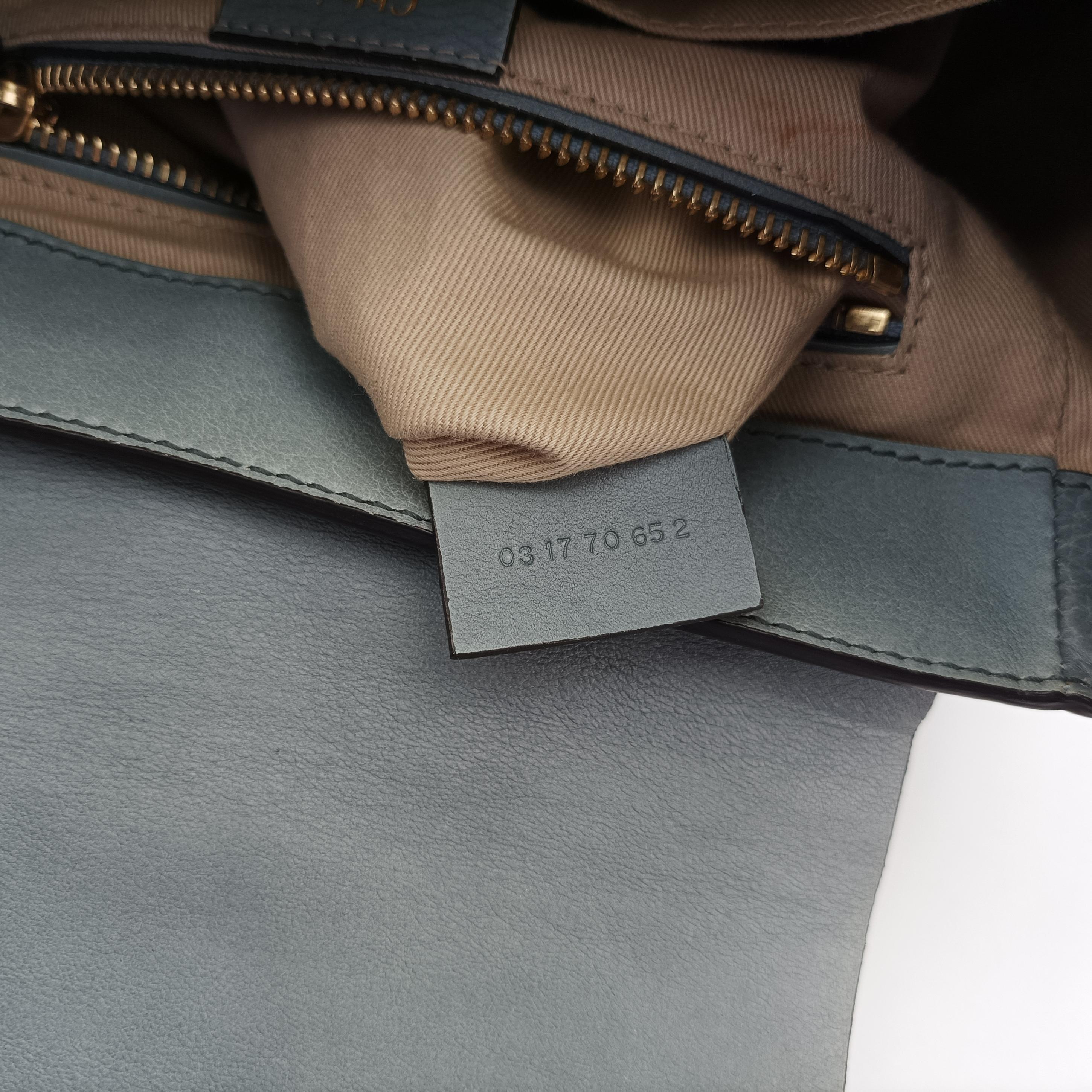 Pre-owned Chloe FAYE mini Grey leather  backpack/rucksack | stylenewstar