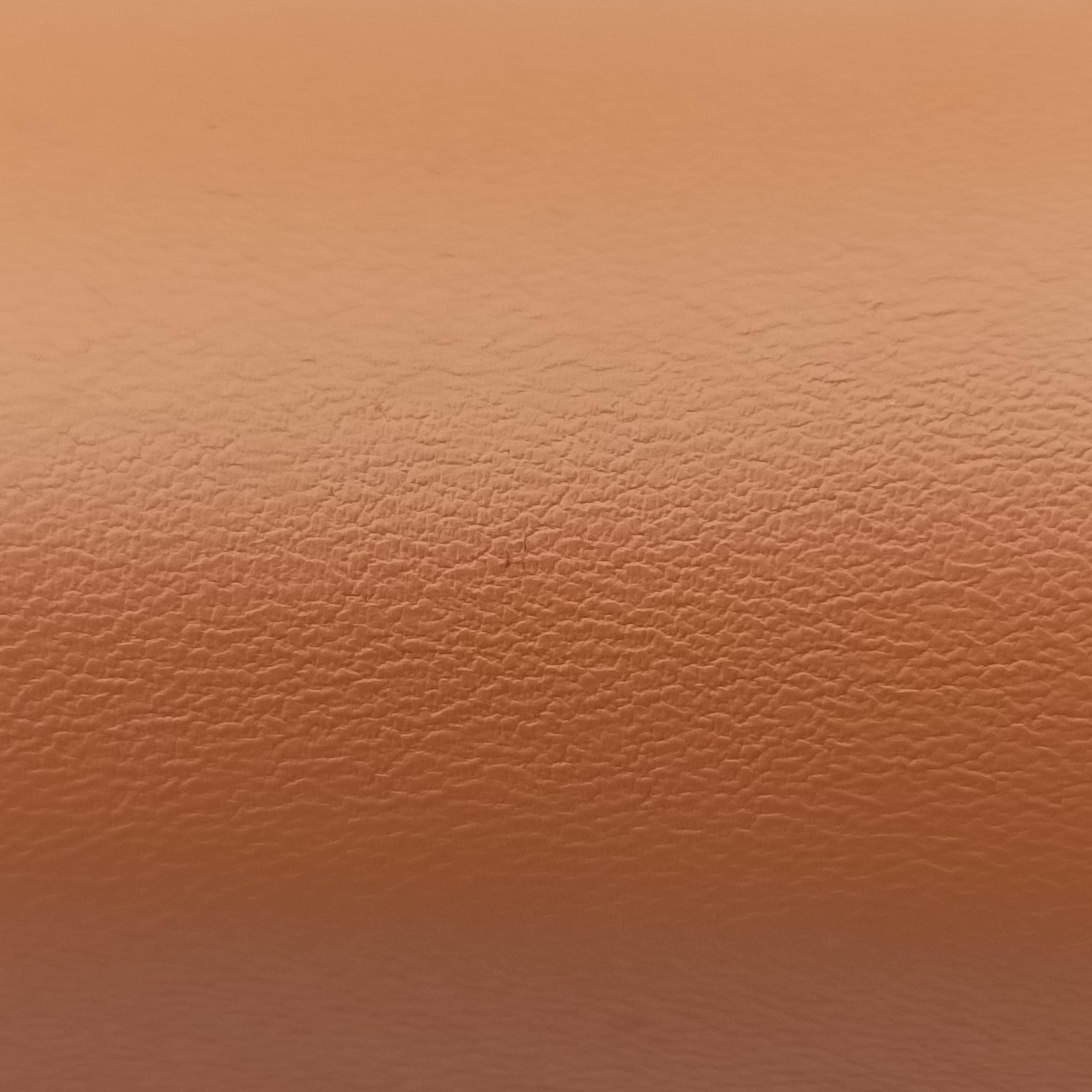 Pre-owned Fendi First Brown Leather 8BP129 shoulderbag | stylenewstar