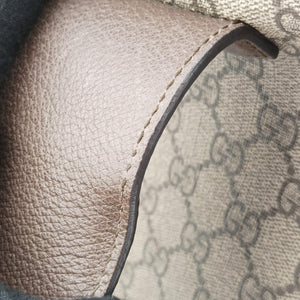 Pre-owned Gucci Dionysus beige×Brown PVC coated canvas 499622 shoulderbag | stylenewstar