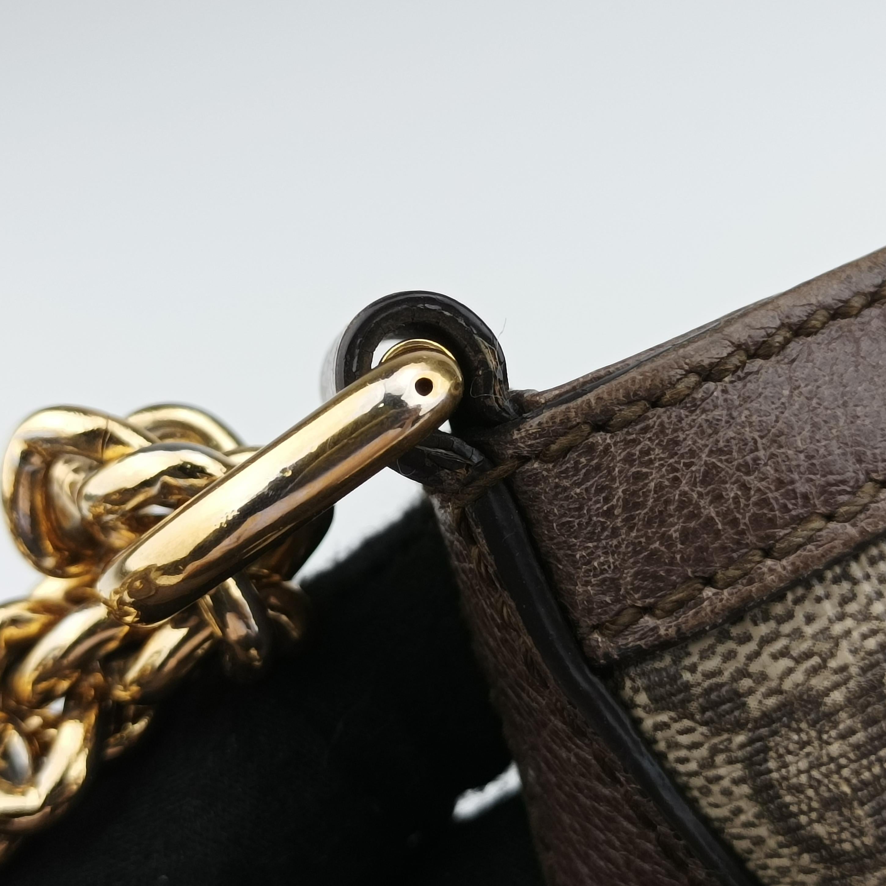 Pre-owned Gucci Dionysus beige×Brown PVC coated canvas 499622 shoulderbag | stylenewstar