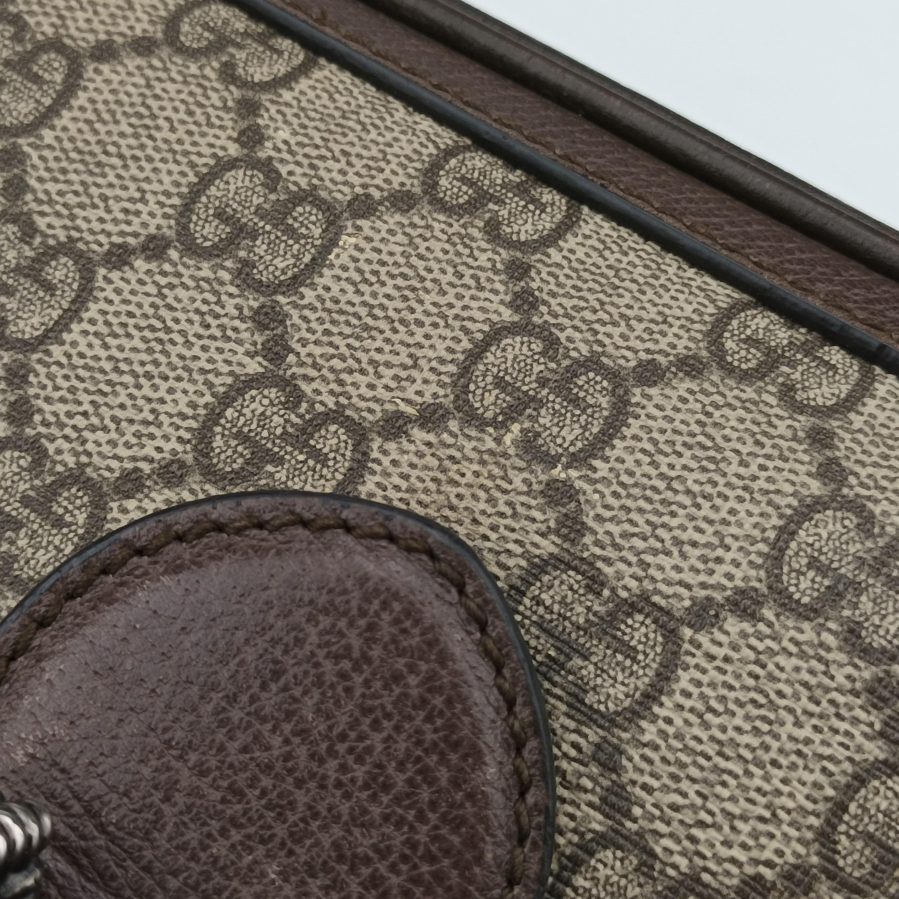 Pre-owned Gucci Dionysus beige×Brown PVC coated canvas 499622 shoulderbag | stylenewstar