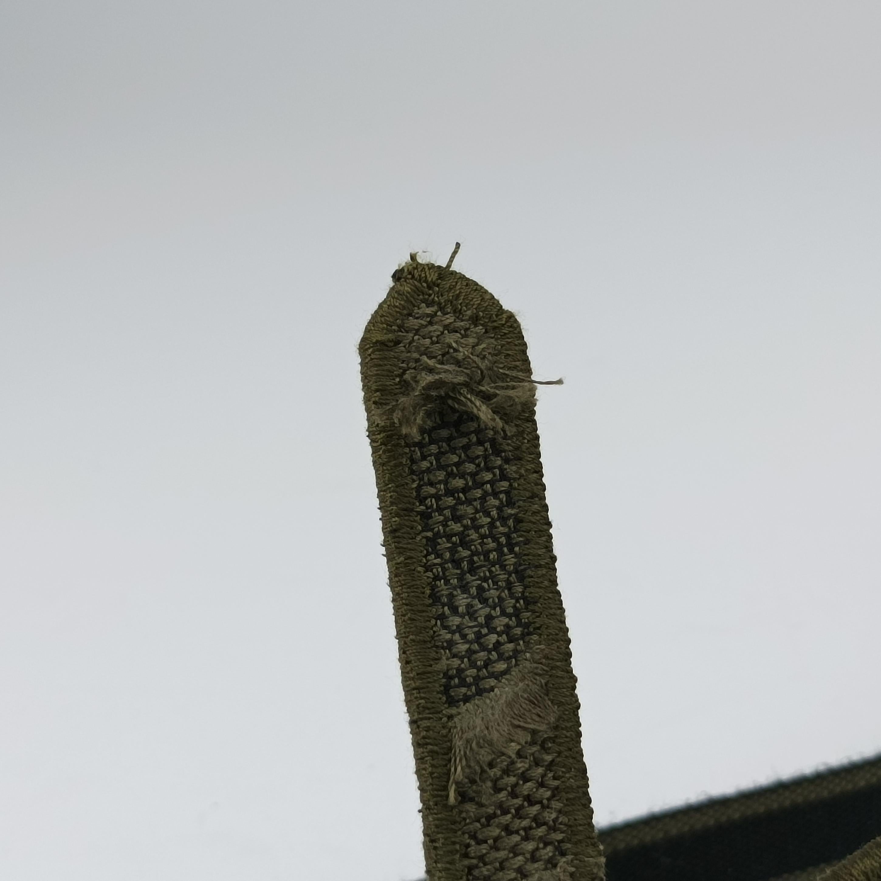 Pre-owned Christian Dior logo saddle Green Jacquard  bum bag/waist bag | stylenewstar