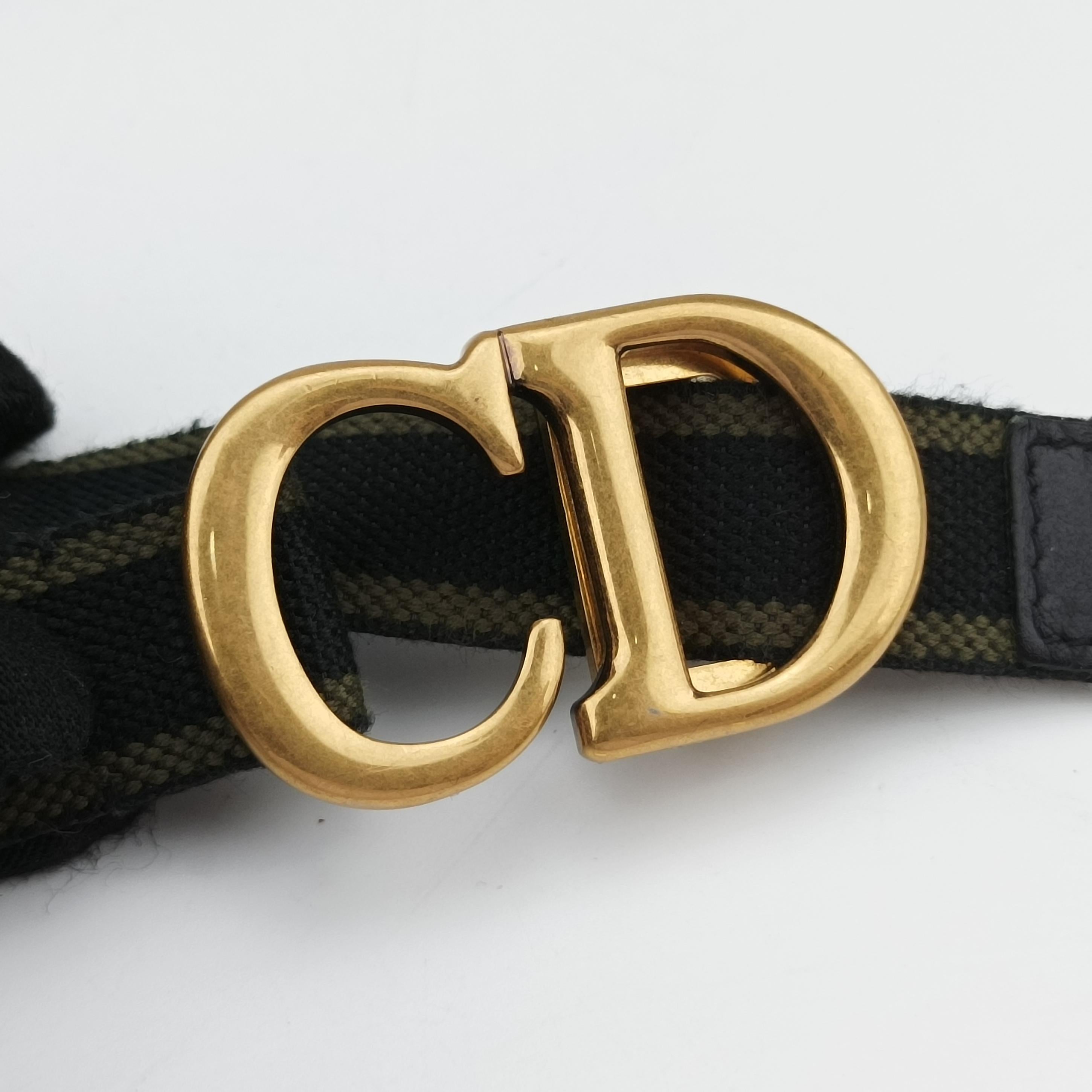 Pre-owned Christian Dior logo saddle Green Jacquard  bum bag/waist bag | stylenewstar