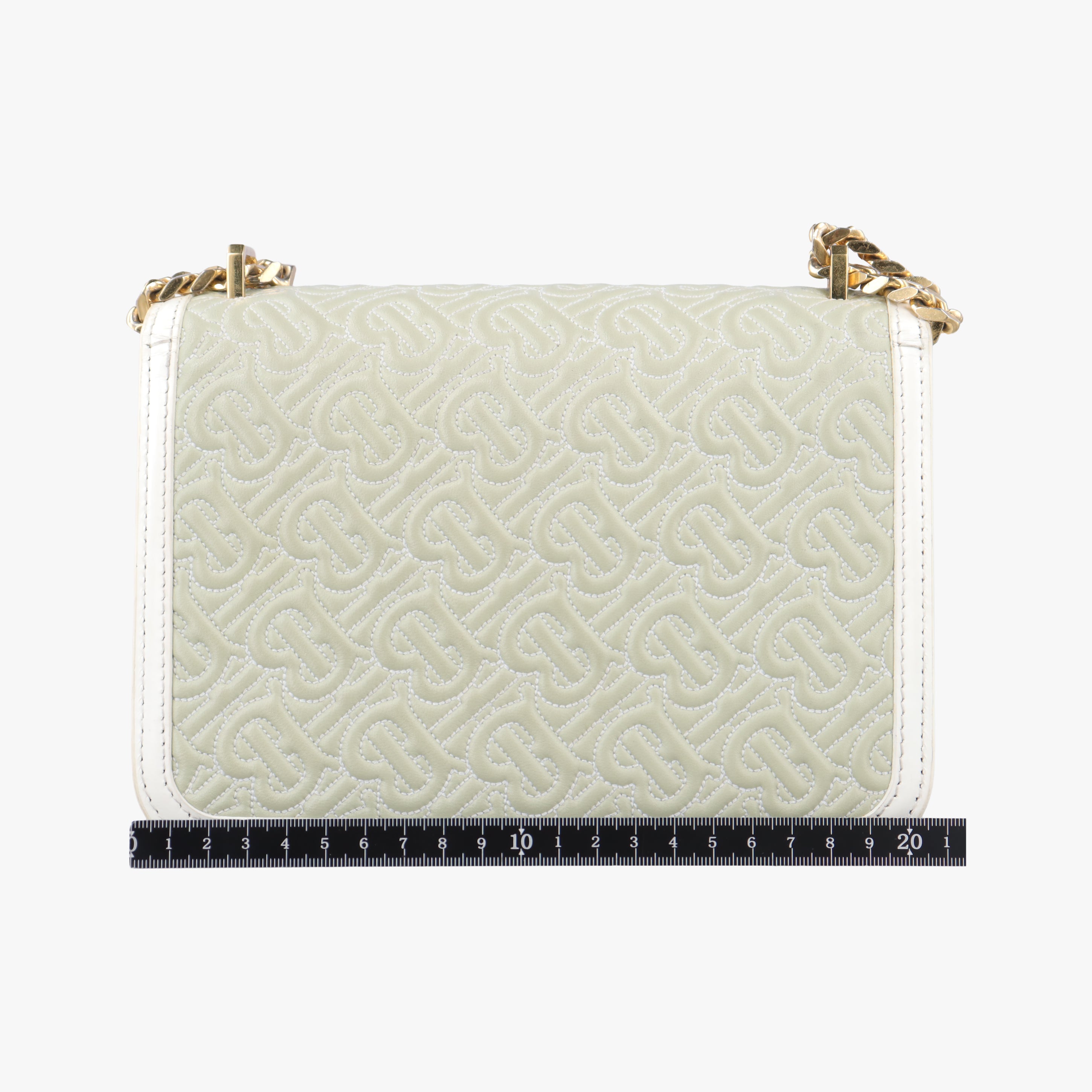 Pre-owned Burberry Monogram Quilted TB Mini Chain White×Green Leather  shoulderbag | stylenewstar