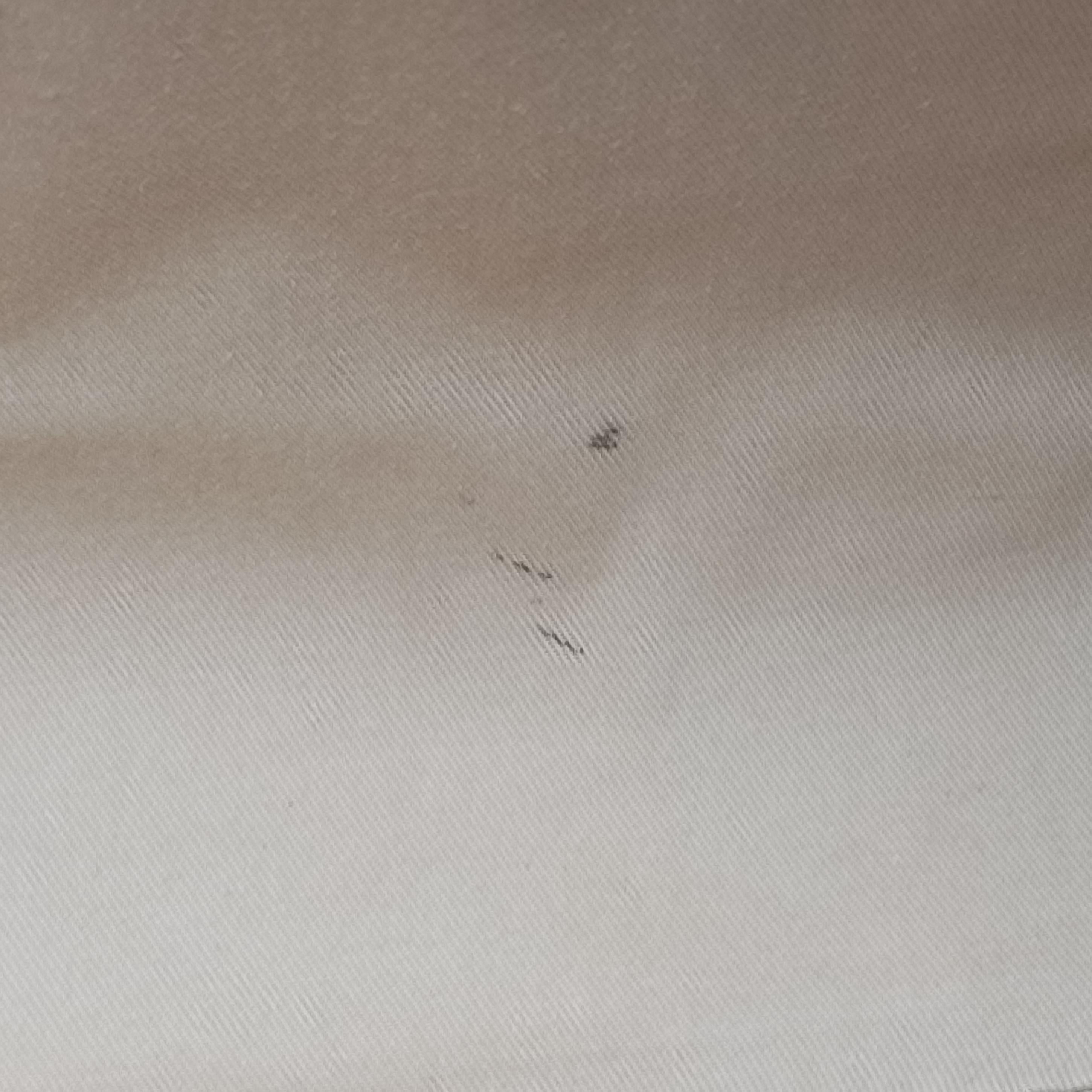 Pre-owned Chloe Woody Beige x Brown x Black canvas  handbag | stylenewstar