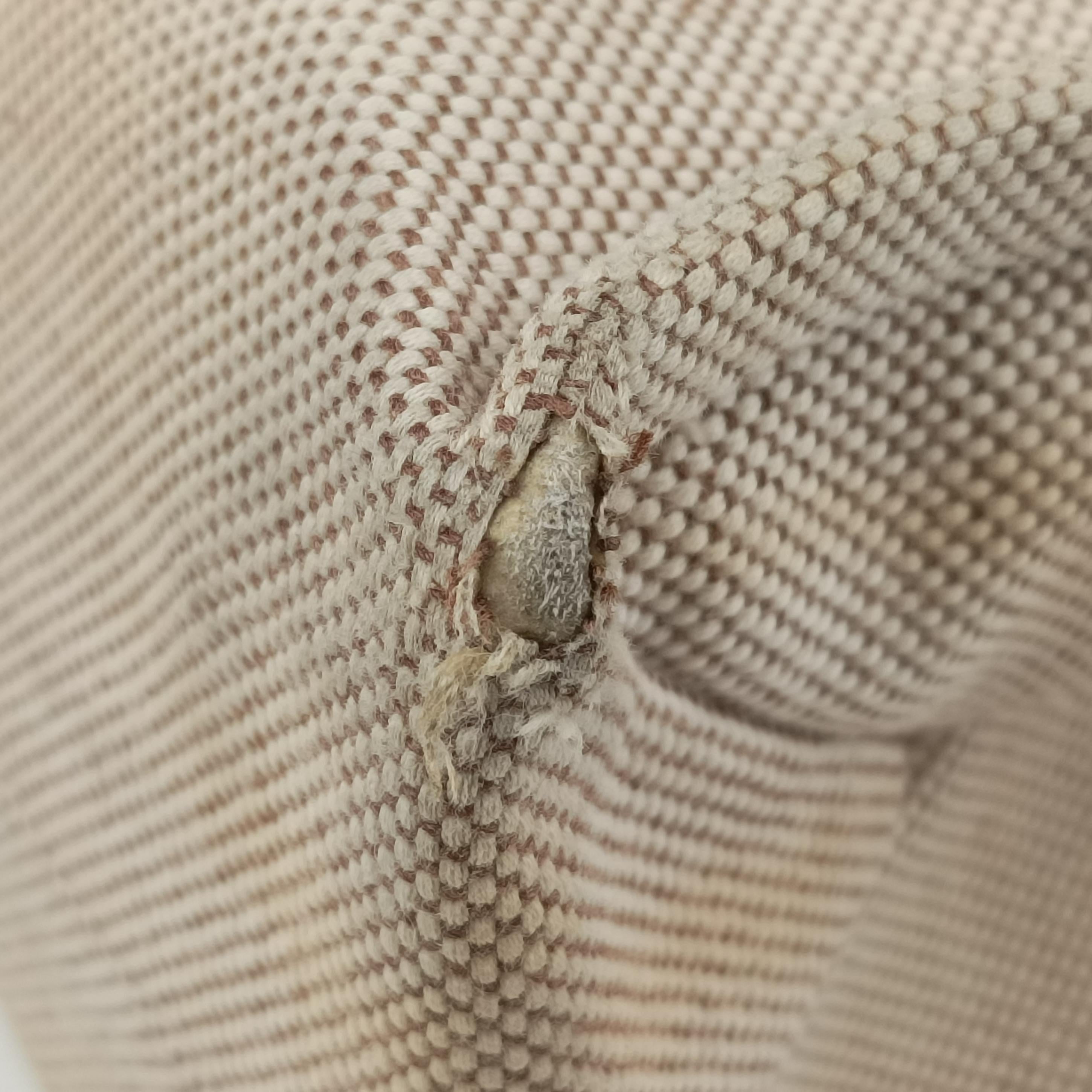 Pre-owned Chloe Woody Beige x Brown x Black canvas  handbag | stylenewstar