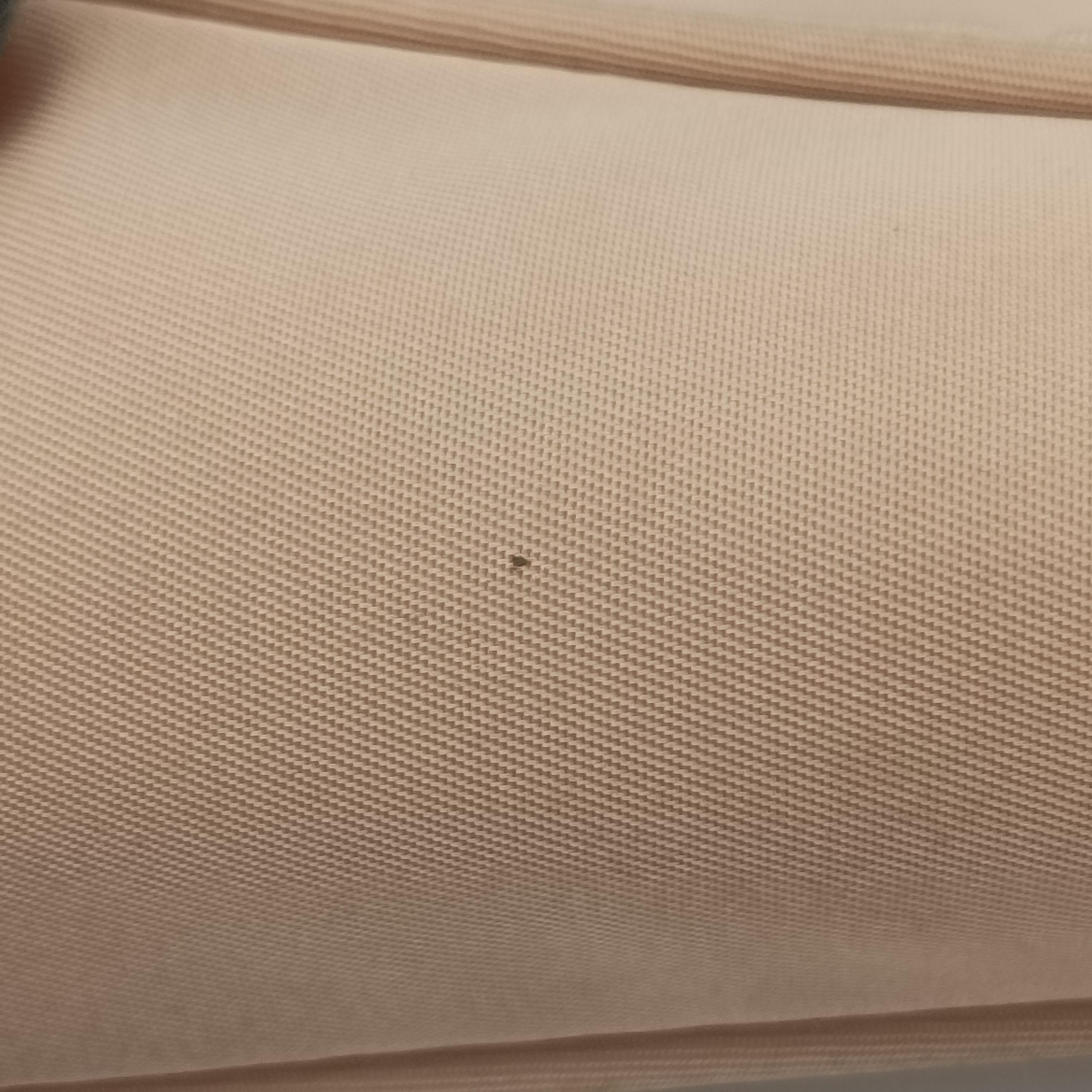 Pre-owned Prada Re-Edition 2005 Re-Nylon Bag Beige nylon 1BH204 handbag | stylenewstar