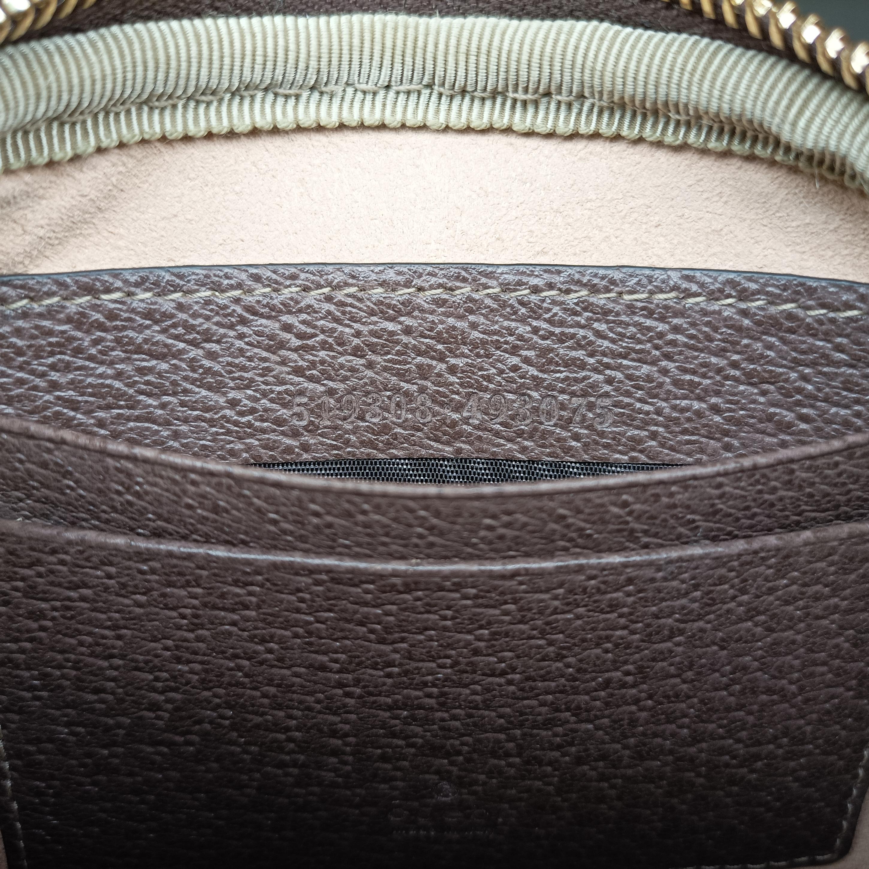 Pre-owned Gucci Ophidia beige×red×green PVC coated canvas 519308 bum bag/waist bag | stylenewstar