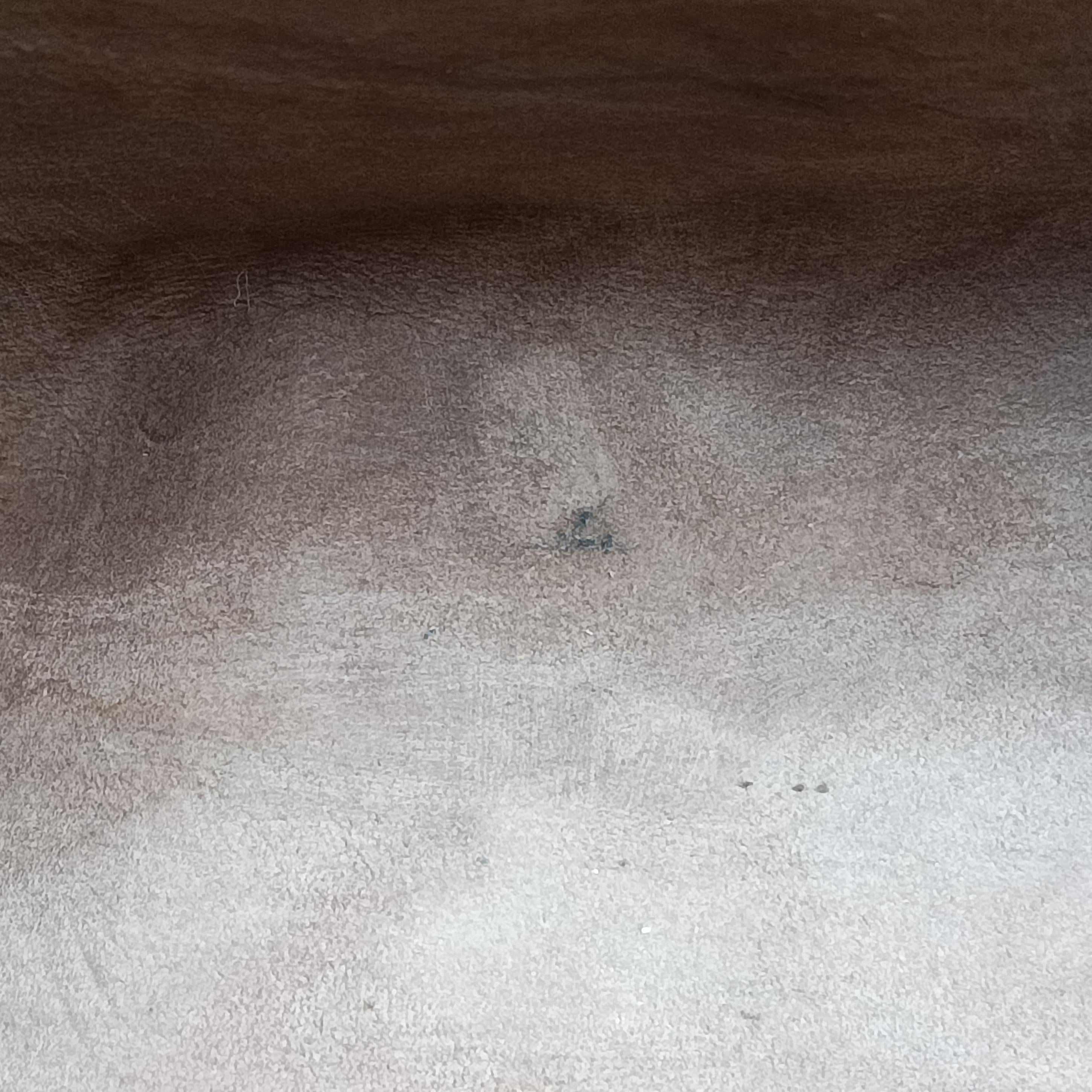 Secondhand Gucci GG Supreme Linea C Blooms GucciGhost Beige x Multicolour PVC coated canvas 414476 shoulderbag | stylenewstar