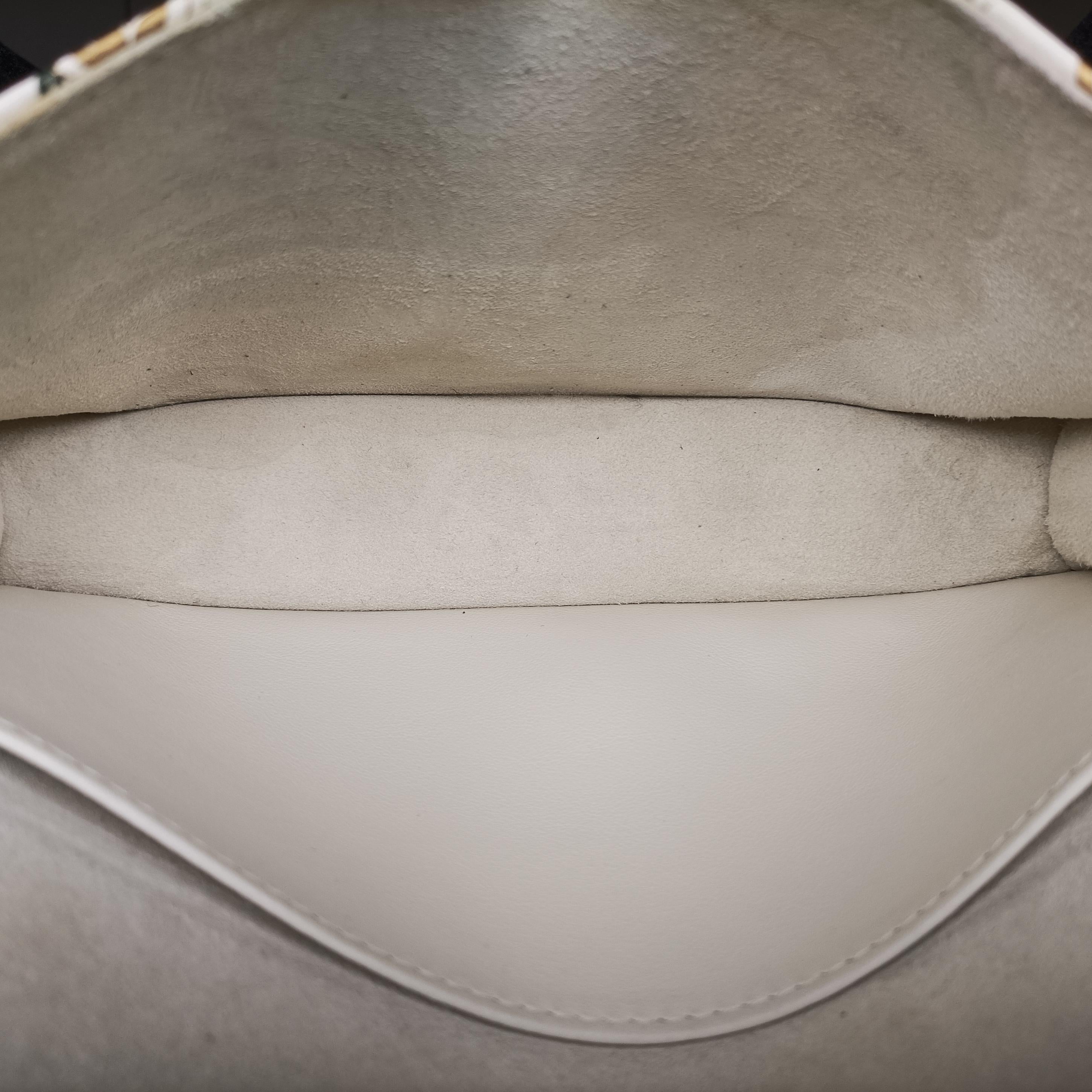 Pre-owned Christian Dior Lady Dior Chain Wallet Ivory/Multicolor Leather  shoulderbag | stylenewstar