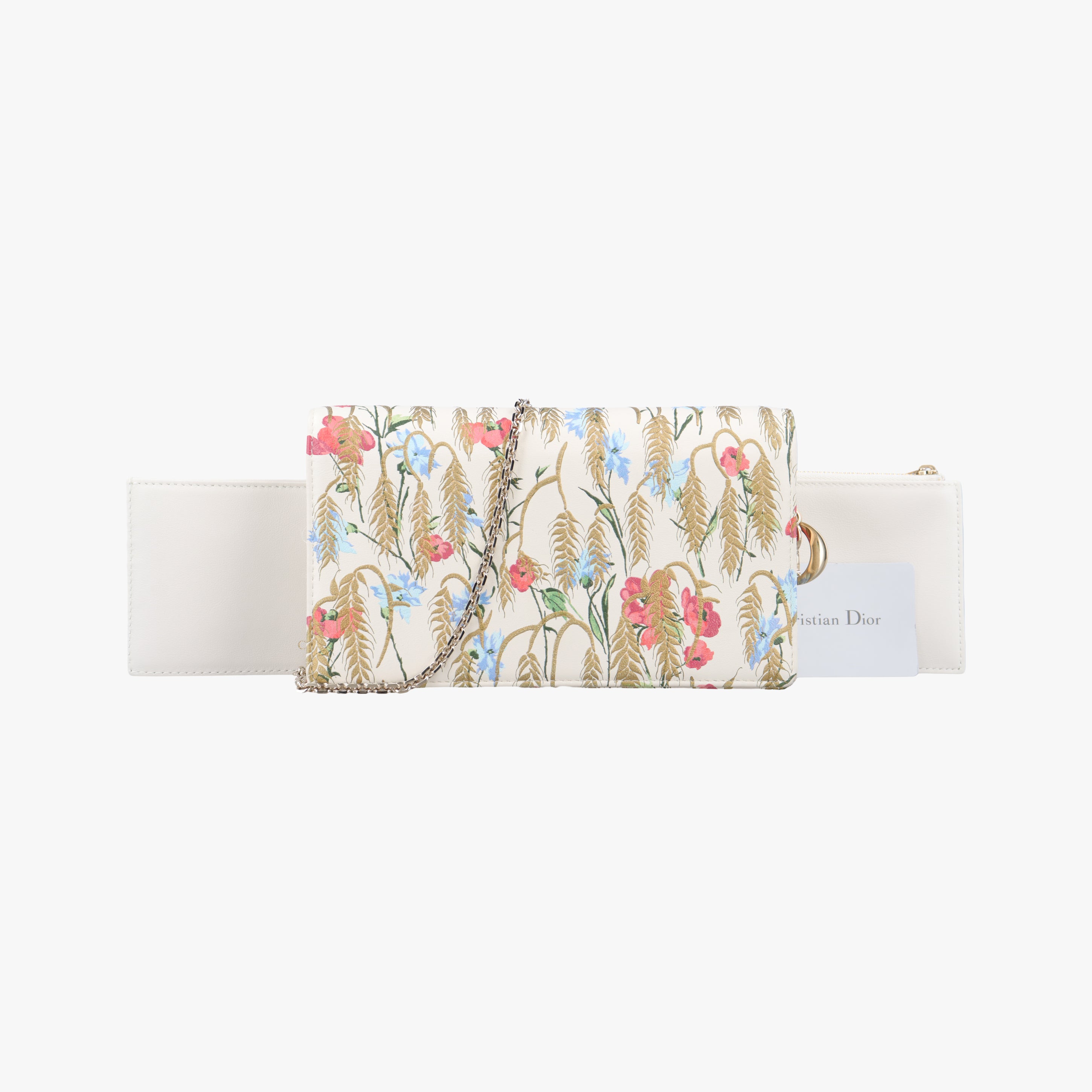 Pre-owned Christian Dior Lady Dior Chain Wallet Ivory/Multicolor Leather  shoulderbag | stylenewstar