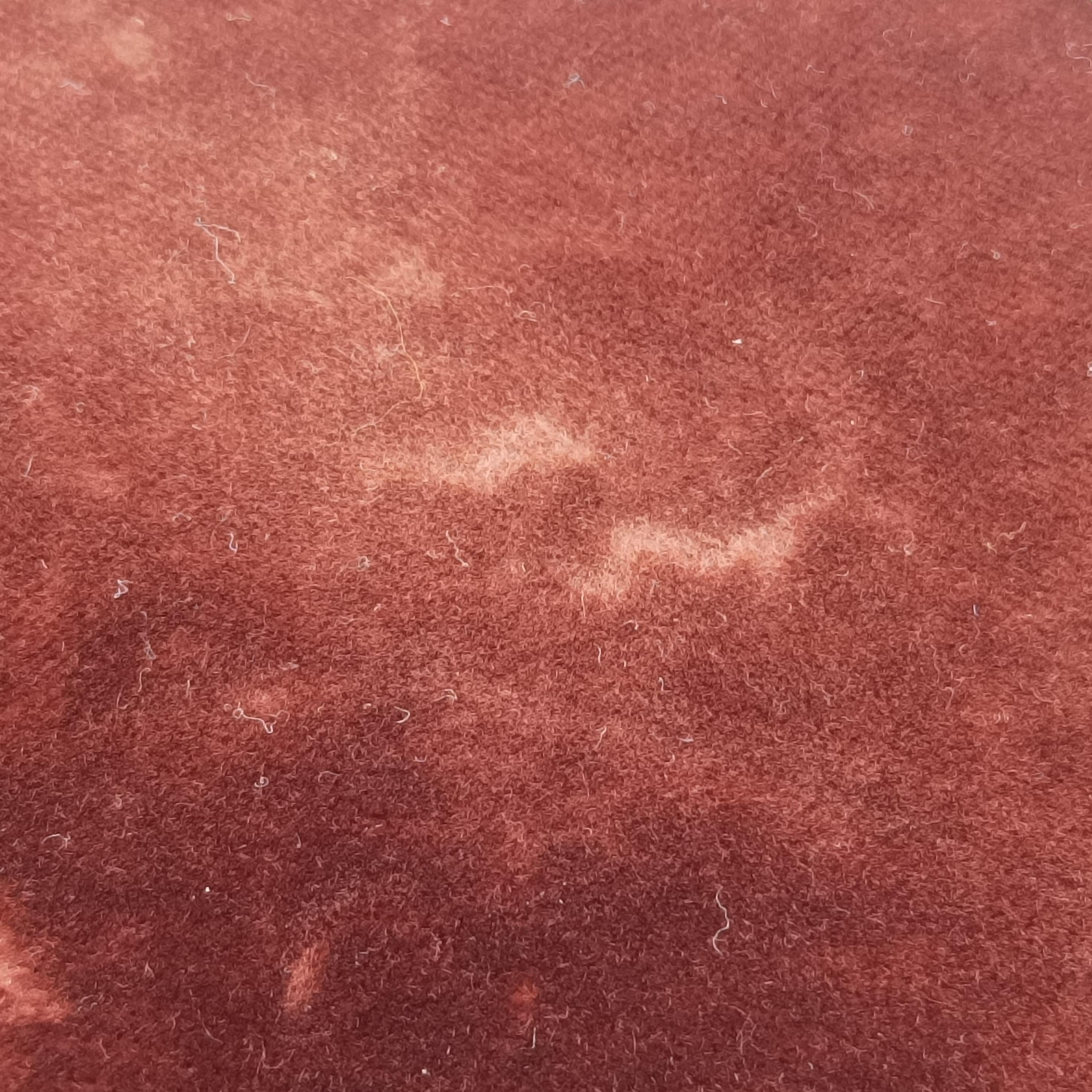 Secondhand Prada Animalier Cahier Lions Head Yellow×Brown Velvet 1BD089 shoulderbag | stylenewstar