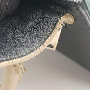 Pre-owned Celine Trapèze Beige x Black x Green Leather x suede  shoulderbag | stylenewstar