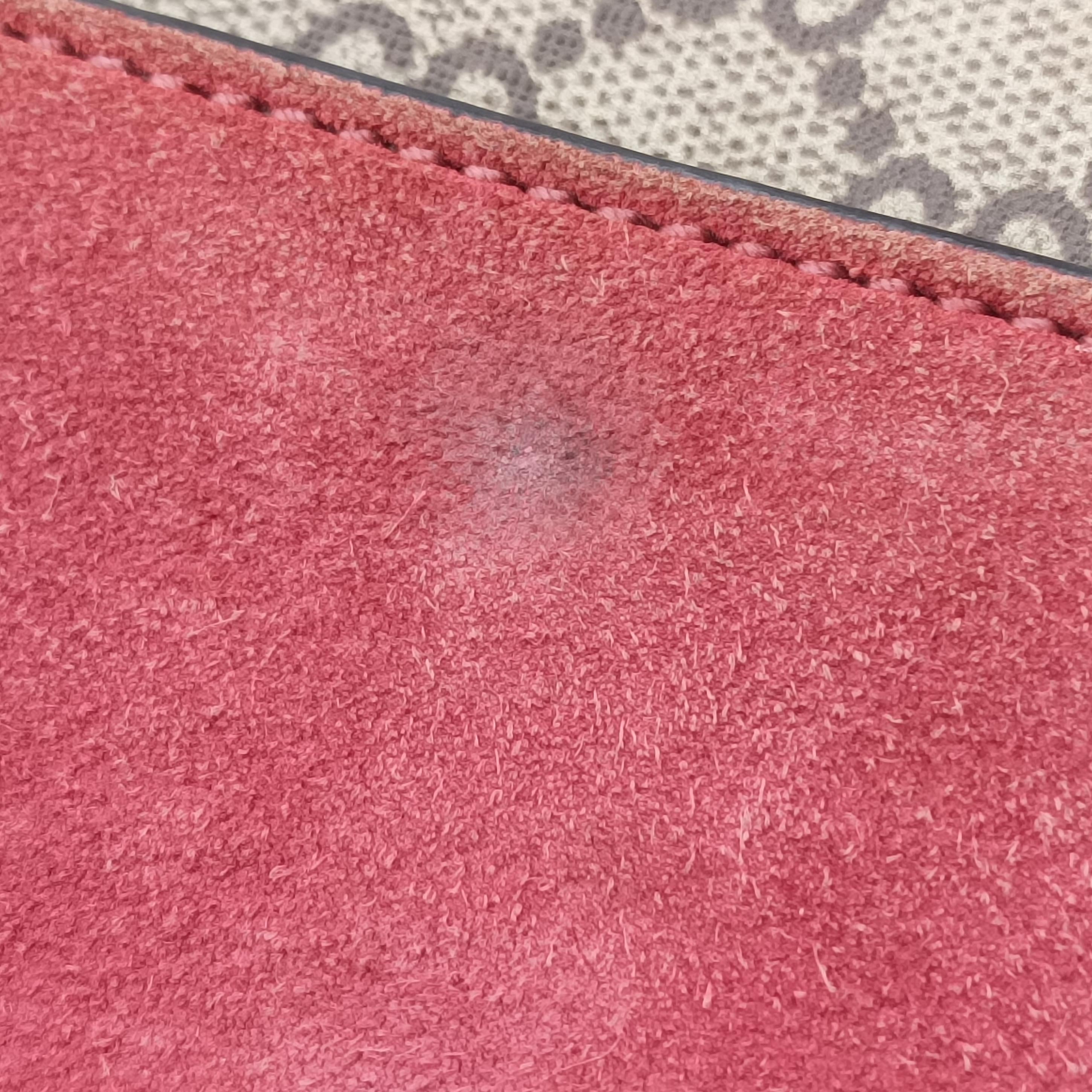 Secondhand Gucci Dionysus beige×red×multicolor PVC coated canvas 400249 shoulderbag | stylenewstar