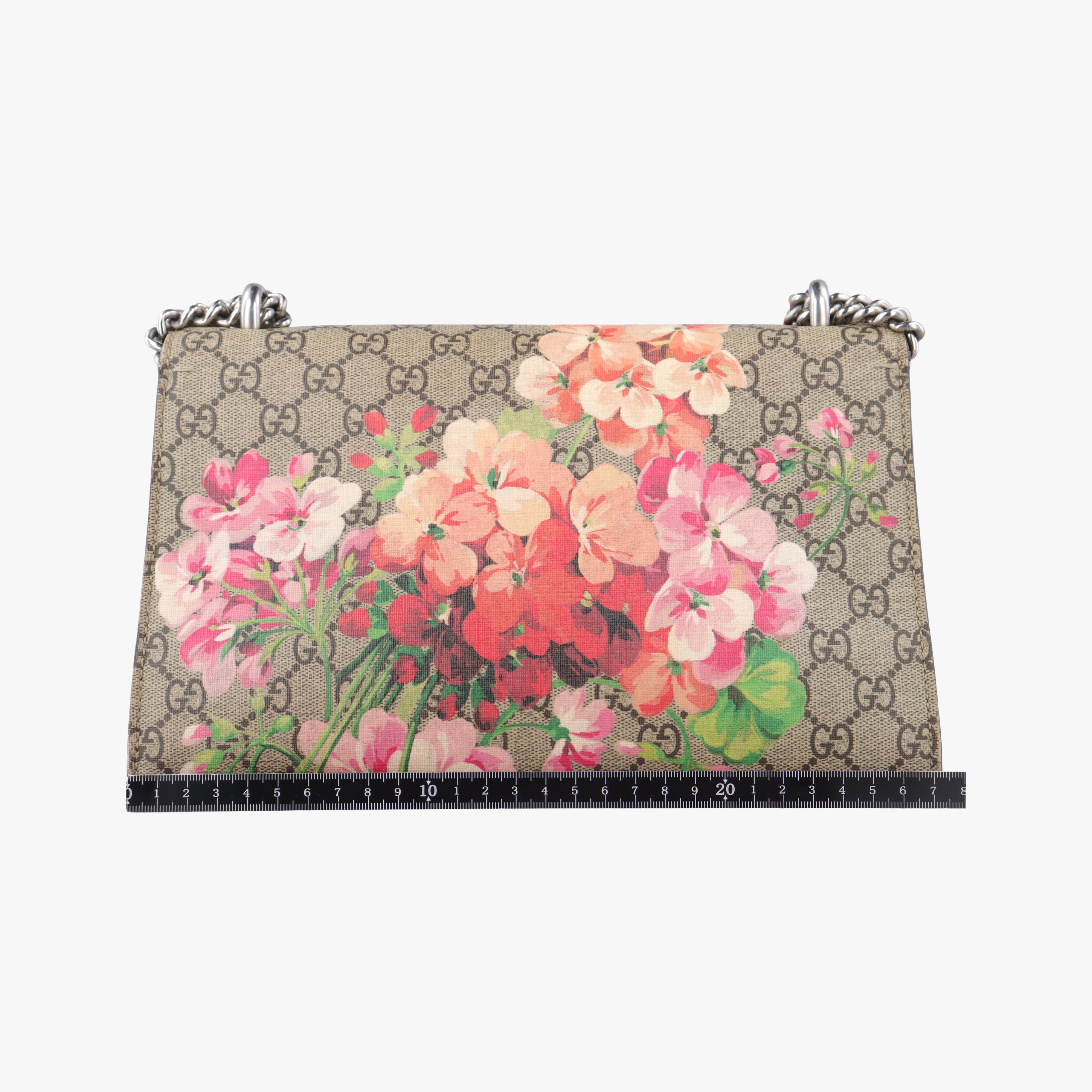 Secondhand Gucci Dionysus beige×red×multicolor PVC coated canvas 400249 shoulderbag | stylenewstar