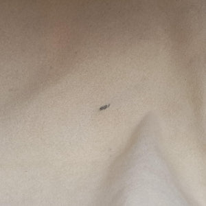 Secondhand Louis Vuitton Eden Speedy Bandouliere 30 Argent Monogram Eden Canvas M40358 handbag | stylenewstar