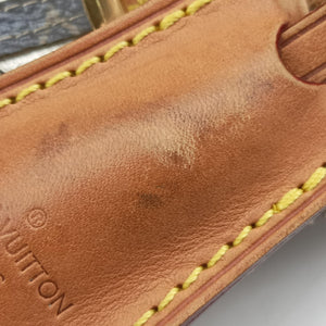 Secondhand Louis Vuitton Eden Speedy Bandouliere 30 Argent Monogram Eden Canvas M40358 handbag | stylenewstar