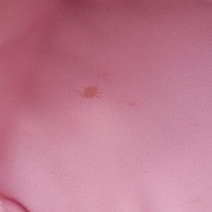 Pre-owned Christian Dior Trotter pink×Multicolour canvas  shoulderbag | stylenewstar