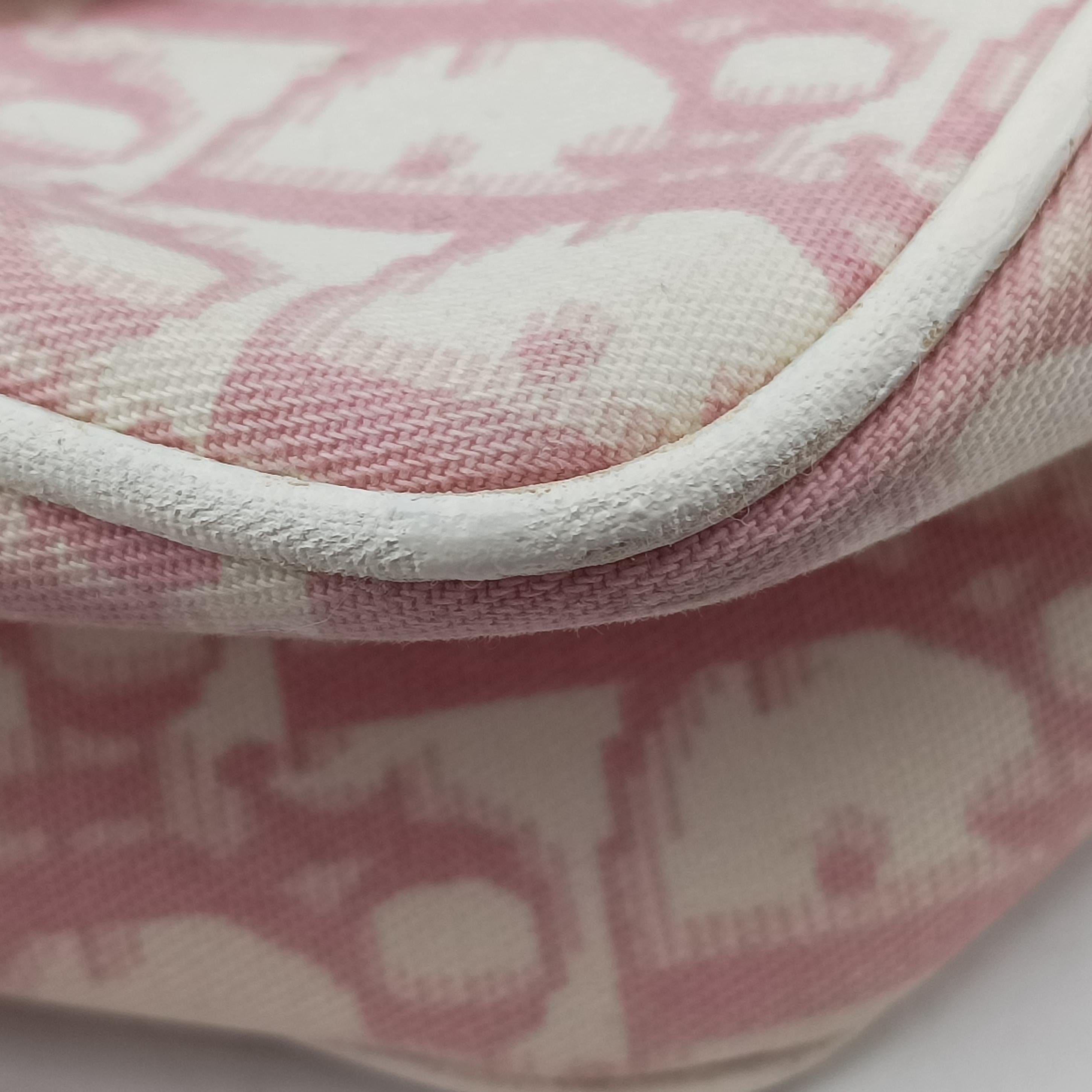 Pre-owned Christian Dior Trotter pink×Multicolour canvas  shoulderbag | stylenewstar