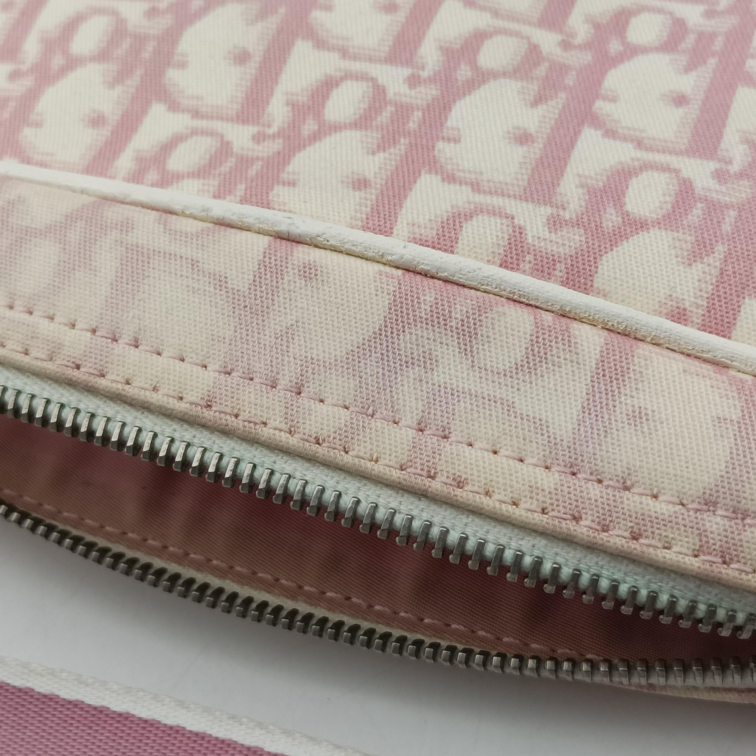 Pre-owned Christian Dior Trotter pink×Multicolour canvas  shoulderbag | stylenewstar