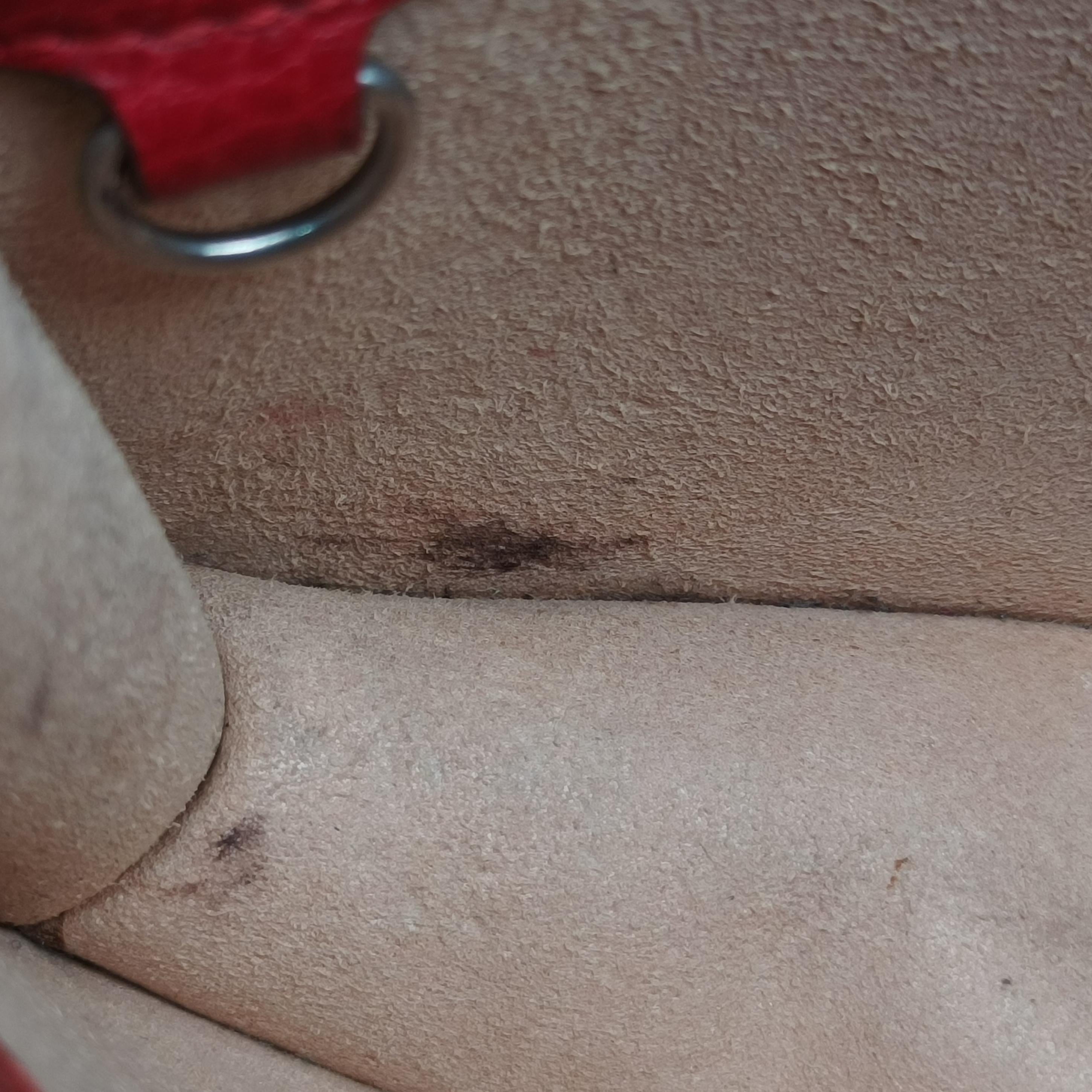 Secondhand Gucci Dionysus Red Leather 476432 shoulderbag | stylenewstar