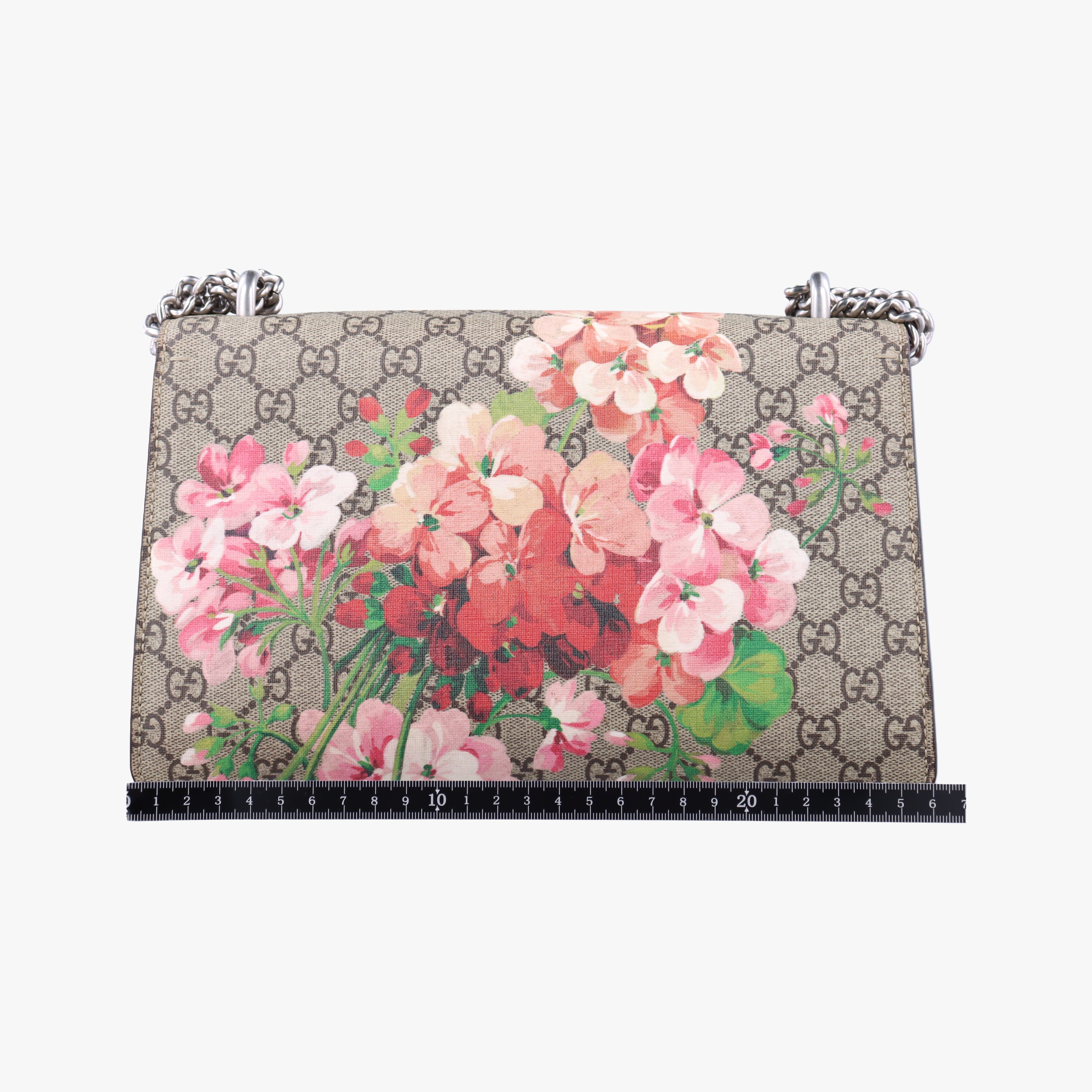 Pre-owned Gucci Dionysus BEIGE×RED×Multicolour PVC coated canvas 400249 shoulderbag | stylenewstar