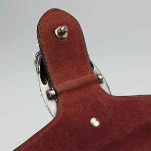 Pre-owned Gucci Dionysus BEIGE×RED×Multicolour PVC coated canvas 400249 shoulderbag | stylenewstar