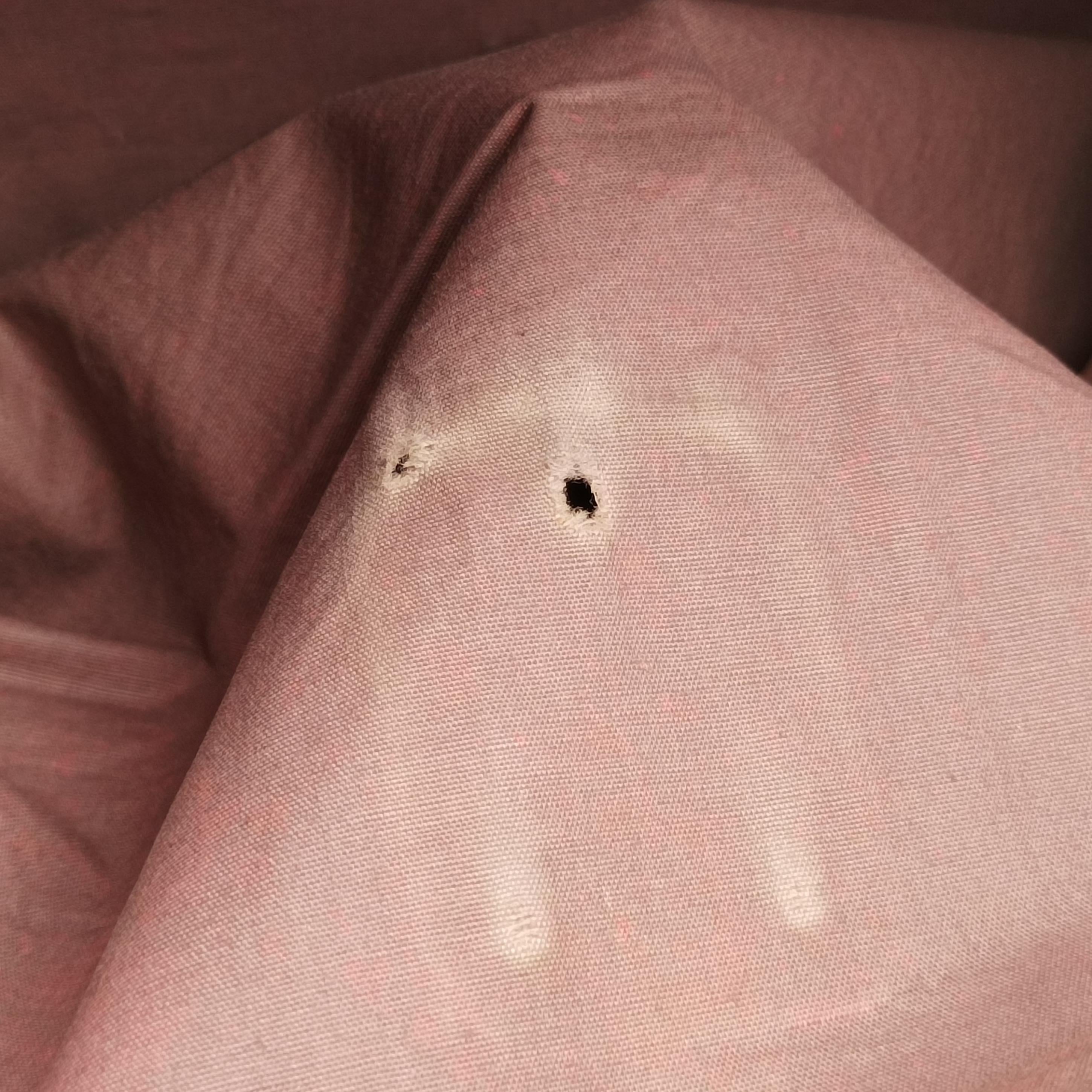 Pre-owned Bottega Veneta Intrecciato Blue lambskin  handbag | stylenewstar